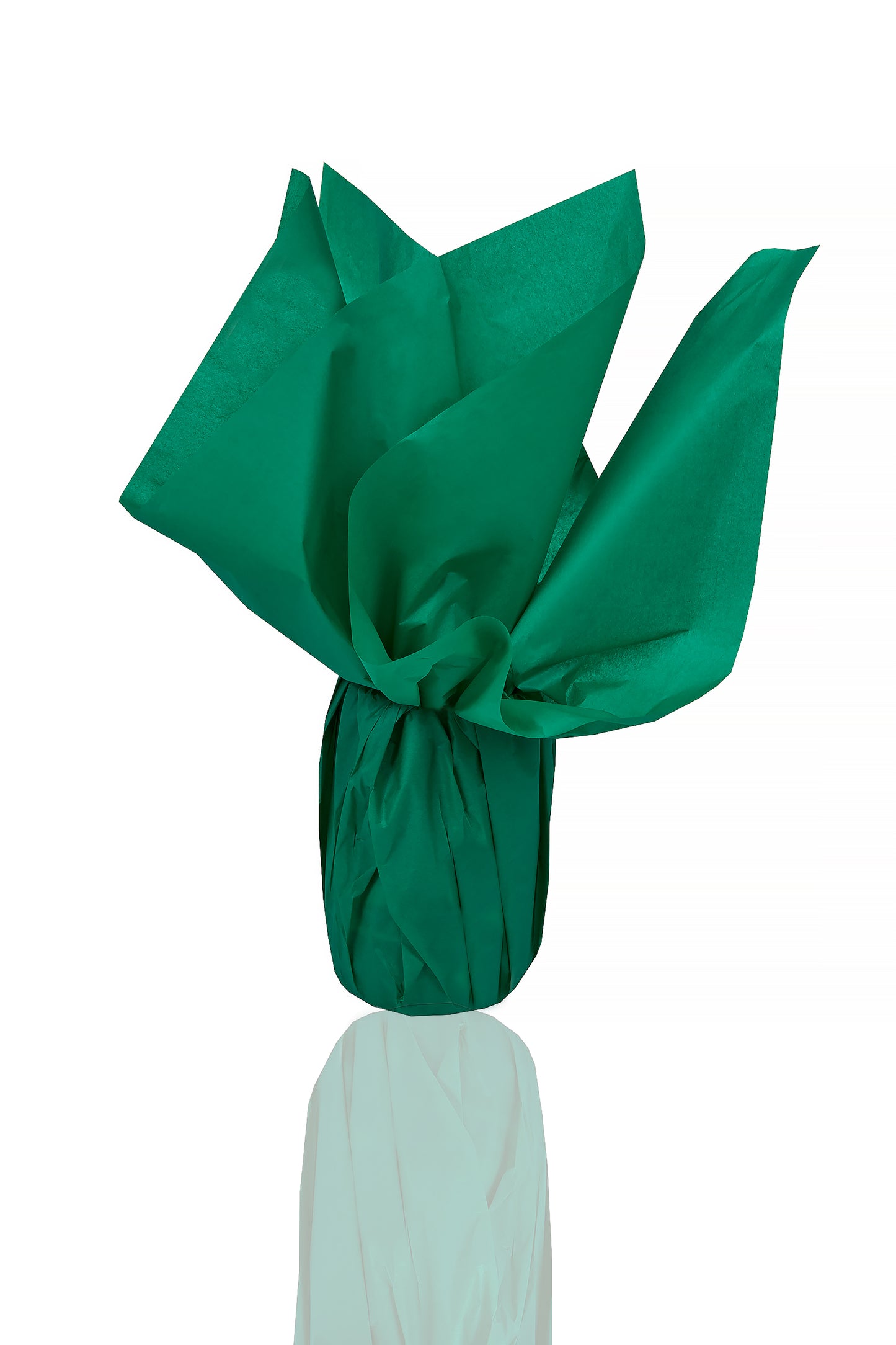 
                  
                    Pelür Sargı Kağıdı - Koyu Yeşil
                  
                