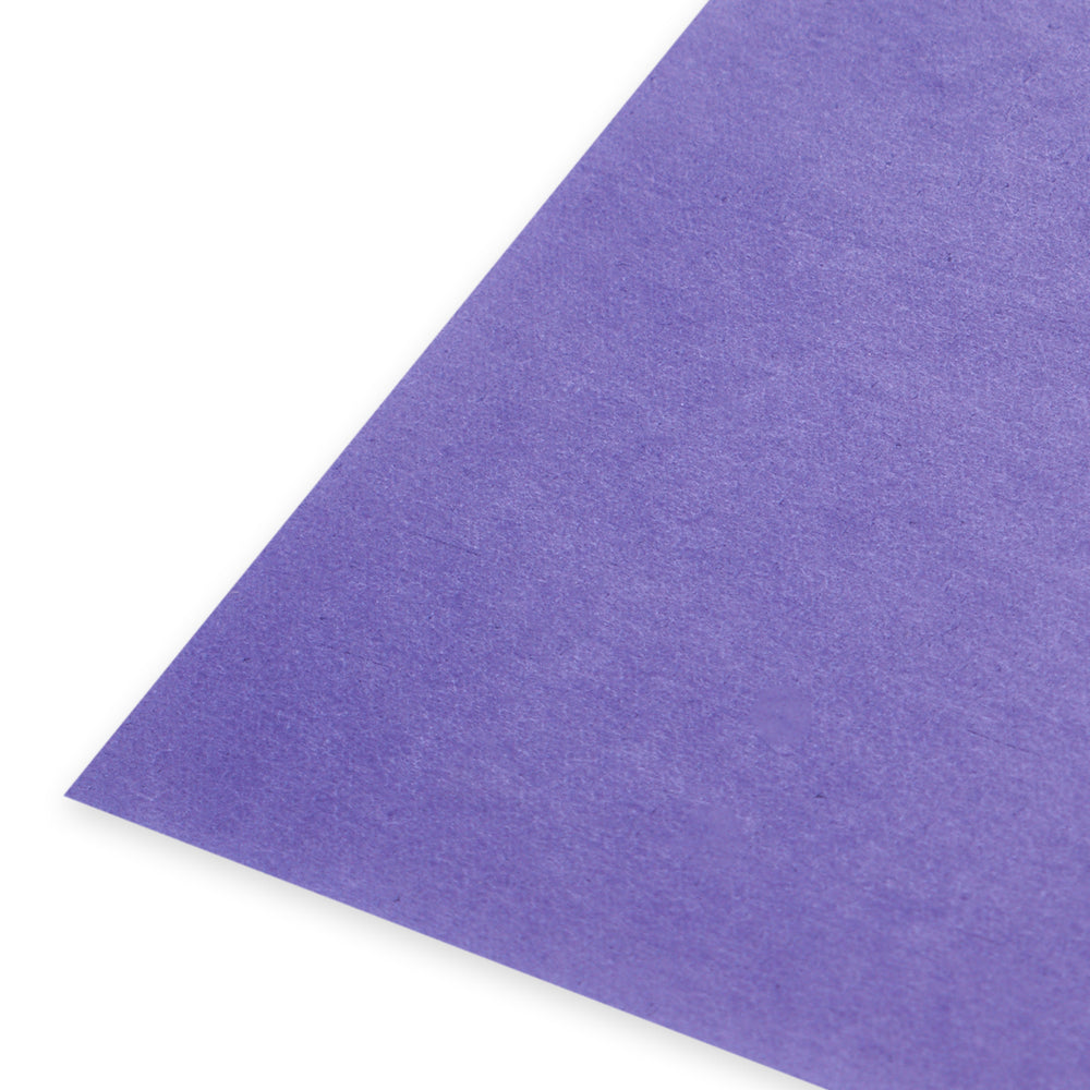 
                  
                    Tissue Paper - Purple
                  
                